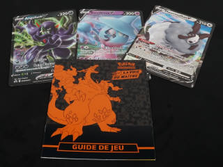 Lot 246 - POKEMON COMPANY (FRANCE) (2)