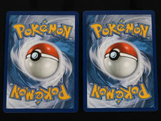 Lot 246 - POKEMON COMPANY (FRANCE) (2)