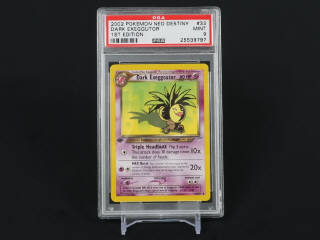 Lot 364 - POKEMON COMPANY (USA) (1)