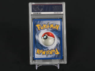 Lot 364 - POKEMON COMPANY (USA) (1)
