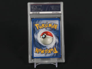Lot 367 - POKEMON COMPANY (USA) (1)