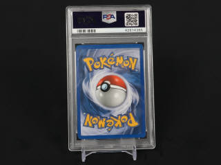 Lot 362 - POKEMON COMPANY (USA) (1)