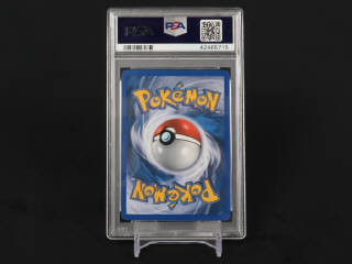 Lot 349 - POKEMON COMPANY (USA) (1)