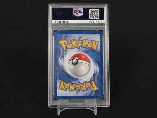 Lot 353 - POKEMON COMPANY (USA) (1)