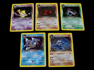 Lot 202 - POKEMON COMPANY (FRANCE) (83)