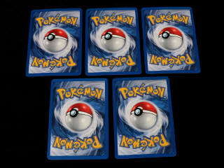 Lot 202 - POKEMON COMPANY (FRANCE) (83)