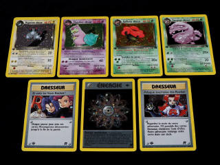 Lot 202 - POKEMON COMPANY (FRANCE) (83)