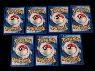 Lot 202 - POKEMON COMPANY (FRANCE) (83)