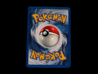 Lot 202 - POKEMON COMPANY (FRANCE) (83)