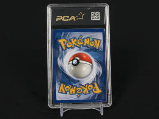 Lot 365 - POKEMON COMPANY (USA) (1)