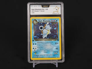 Lot 363 - POKEMON COMPANY (USA) (1)