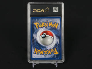 Lot 363 - POKEMON COMPANY (USA) (1)