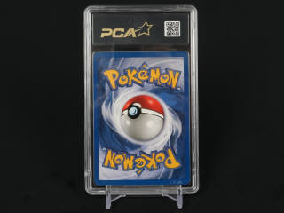 Lot 372 - POKEMON COMPANY (USA) (1)