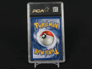 Lot 348 - POKEMON COMPANY (USA) (1)