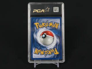 Lot 368 - POKEMON COMPANY (USA) (1)