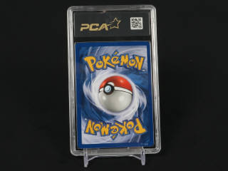 Lot 369 - POKEMON COMPANY (USA) (1)