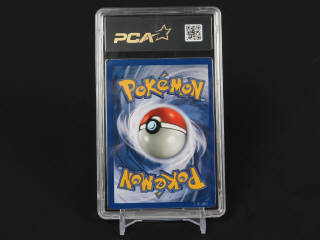 Lot 357 - POKEMON COMPANY (USA) (1)