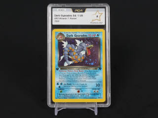 Lot 371 - POKEMON COMPANY (USA) (1)