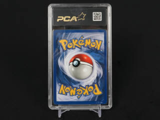 Lot 371 - POKEMON COMPANY (USA) (1)