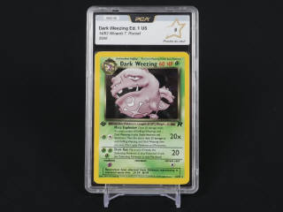 Lot 354 - POKEMON COMPANY (USA) (1)