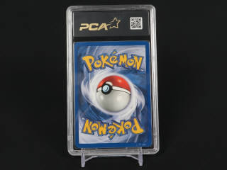 Lot 354 - POKEMON COMPANY (USA) (1)