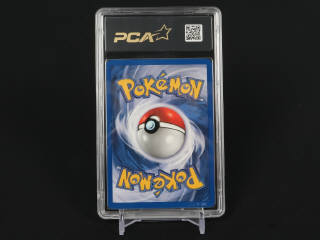 Lot 361 - POKEMON COMPANY (USA) (1)