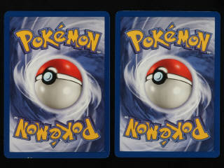 Lot 344 - POKEMON COMPANY (USA) (1)