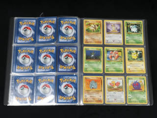 Lot 343 - POKEMON COMPANY (USA) (1)