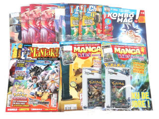 Lot 182 - POKEMON COMPANY (FRANCE) (31)