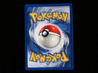 Lot 341 - POKEMON COMPANY (PORTUGAL) (1)