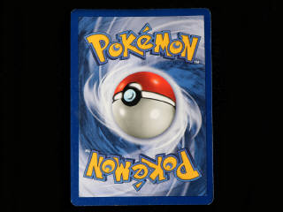 Lot 340 - POKEMON COMPANY (PORTUGAL) (1)