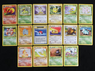 Lot 300 - POKEMON COMPANY (FRANCE) (16)
