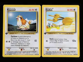 Lot 260 - POKEMON COMPANY (FRANCE) (2)