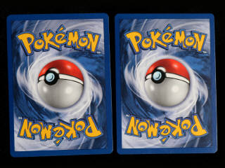 Lot 260 - POKEMON COMPANY (FRANCE) (2)