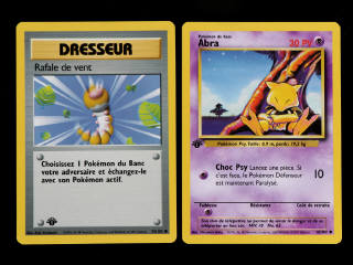 Lot 258 - POKEMON COMPANY (FRANCE) (2)