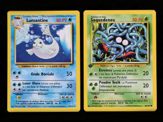Lot 255 - POKEMON COMPANY (FRANCE) (2)