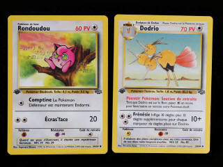 Lot 256 - POKEMON COMPANY (FRANCE) (2)