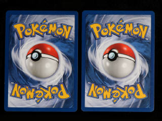 Lot 256 - POKEMON COMPANY (FRANCE) (2)