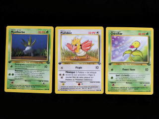 Lot 263 - POKEMON COMPANY (FRANCE) (3)