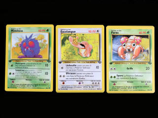 Lot 265 - POKEMON COMPANY (FRANCE) (3)