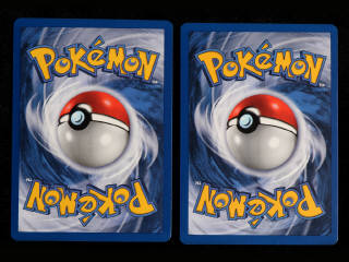 Lot 257 - POKEMON COMPANY (FRANCE) (2)