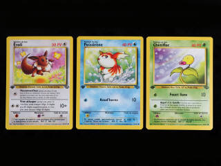 Lot 262 - POKEMON COMPANY (FRANCE) (3)