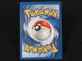 Lot 190 - POKEMON COMPANY (FRANCE) (1)