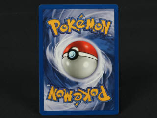 Lot 191 - POKEMON COMPANY (FRANCE) (1)