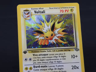 Lot 191 - POKEMON COMPANY (FRANCE) (1)
