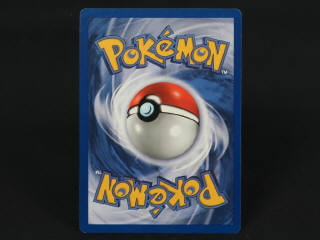 Lot 198 - POKEMON COMPANY (FRANCE) (1)