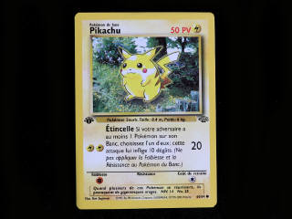 Lot 192 - POKEMON COMPANY (FRANCE) (1)