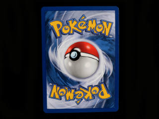 Lot 192 - POKEMON COMPANY (FRANCE) (1)