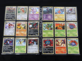 Lot 238 - POKEMON COMPANY (FRANCE) (1)