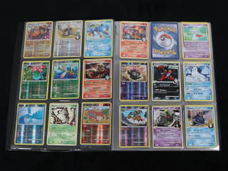 Lot 235 - POKEMON COMPANY (FRANCE) (1)